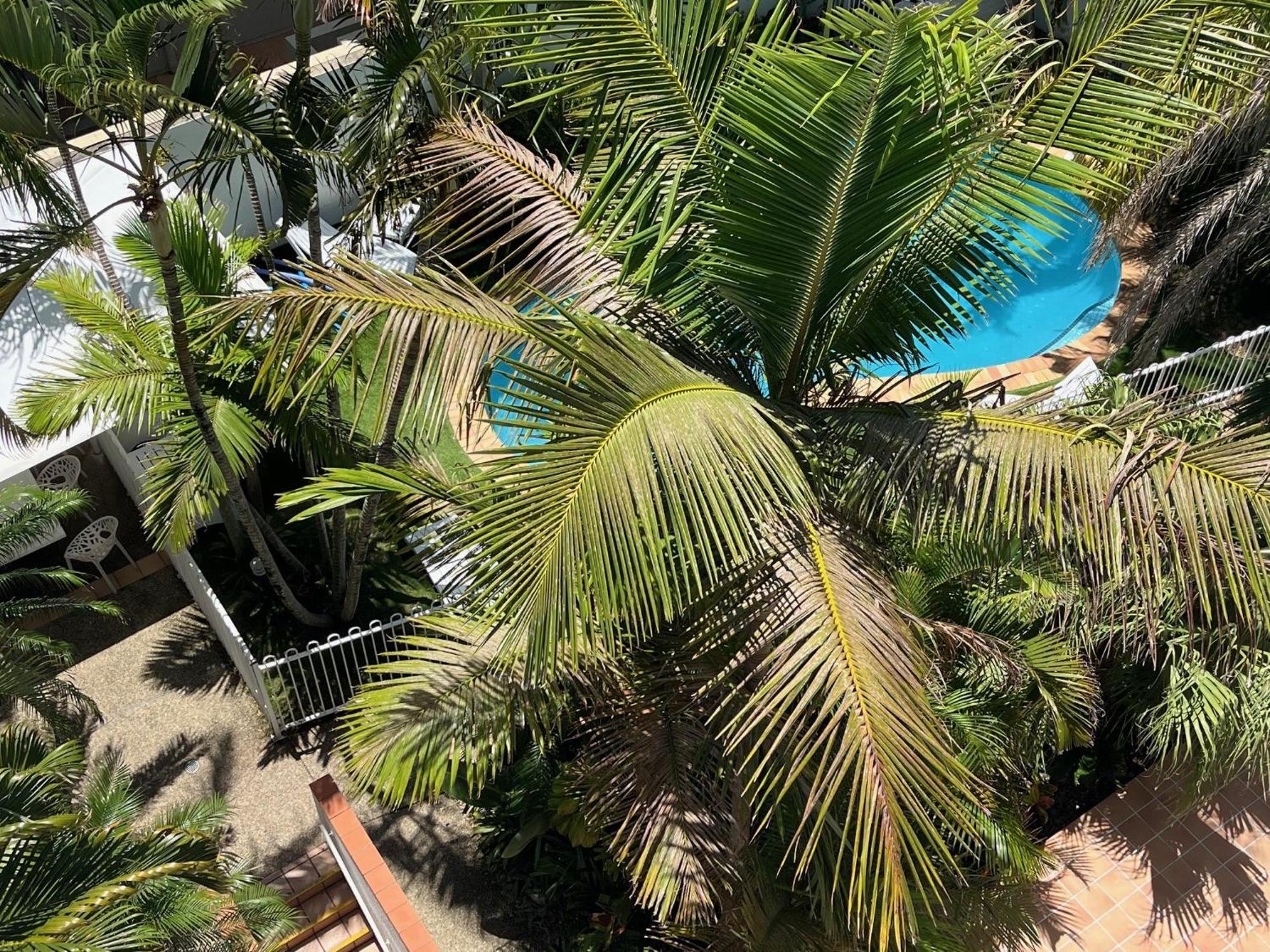 The Burlington Holiday Apartments Maroochydore Ngoại thất bức ảnh